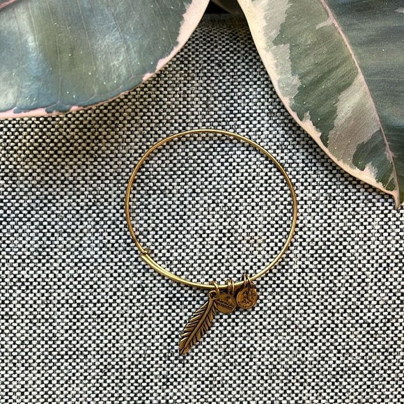 ✨ Alex and Ani Bracelet in Gold with Feather Charm! ✨ - Picture 3 of 13